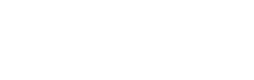 buerstner logo white